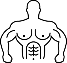 Muscular Gymnast Torso Outline Icon Svg Vector, Free Vectors File